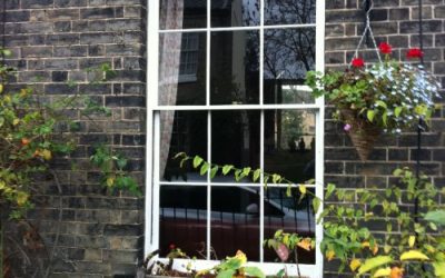 Rot Repair In Norfolk